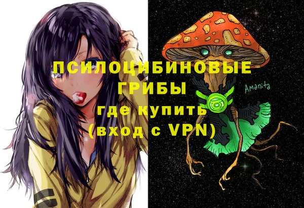 Альфа ПВП Балабаново